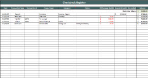 Check Registers Template from www.practicalspreadsheets.com