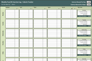 Calorie Tracker Spreadsheet